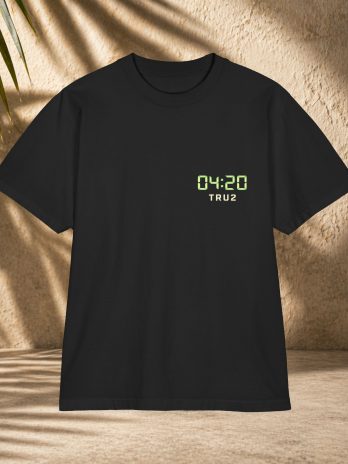 420 Arcade Graphic T-Shirt — “System Active” Retro Gaming Cannabis Tee